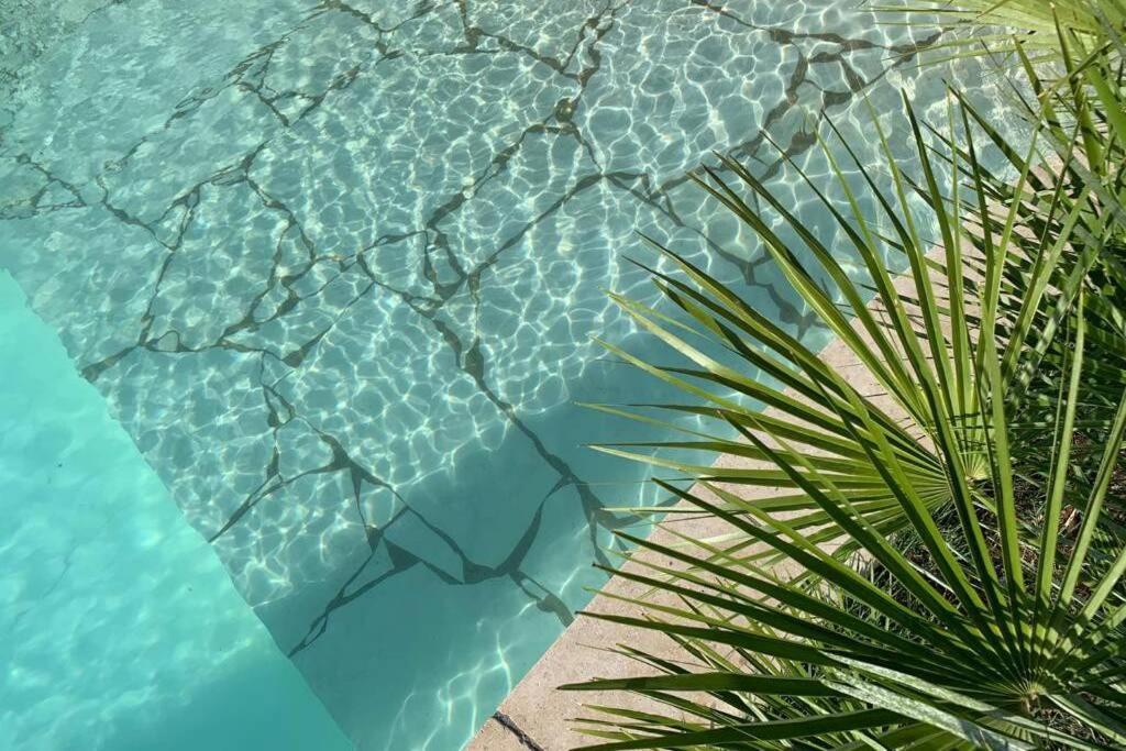 Villa Des Oliviers Avec Piscine Chassagny Zewnętrze zdjęcie